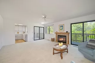 Photo #2: 225050367 Listing