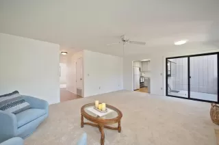 Photo #4: 225050367 Listing