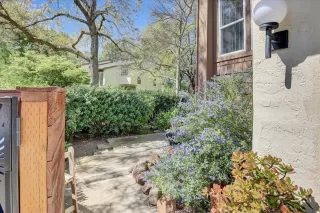 Photo #4: 225050394 Listing 