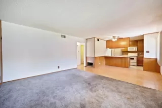 Photo #4: 225051070 Listing