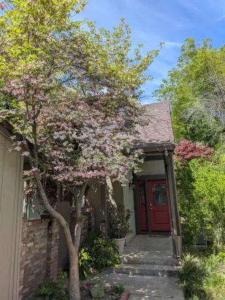 Photo #1: 225051101 Listing