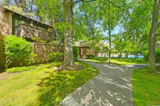 Photo #5: 225051785 Listing 