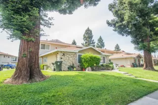 Photo #3: 225053979 Listing