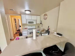 Photo #4: 225054032 Listing