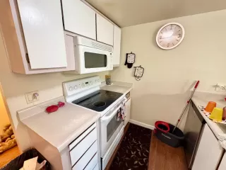 Photo #5: 225054032 Listing