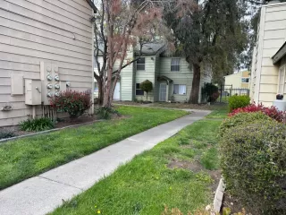 Photo #1: 225054126 Listing 