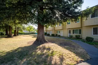 Photo #3: 225055138 Listing