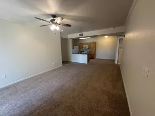 Photo #3: 225055476 Listing