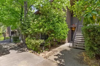 Photo #3: 225055610 Listing