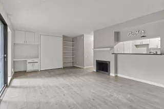 Photo #4: 225055610 Listing