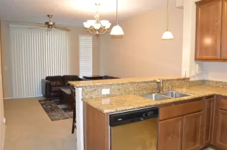 Photo #1: 225056238 Listing 
