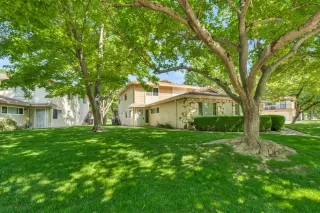 Photo #1: 225056338 Listing 