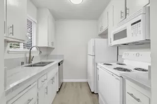 Photo #3: 225056629 Listing