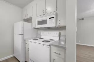 Photo #5: 225056629 Listing