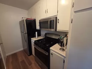 Photo #6: 225056710 Listing