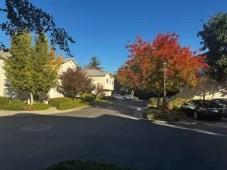 Photo #5: 225056953 Listing