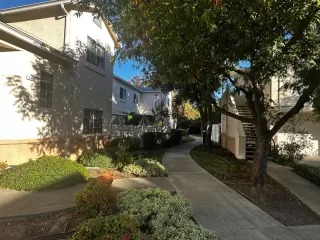 Photo #6: 225056953 Listing