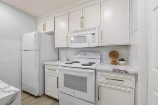 Photo #2: 225058740 Listing 