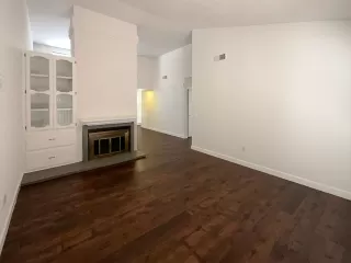 Photo #2: 225059198 Listing 