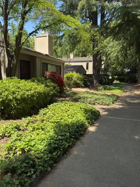 MLS: 225059582 Condo For Sale