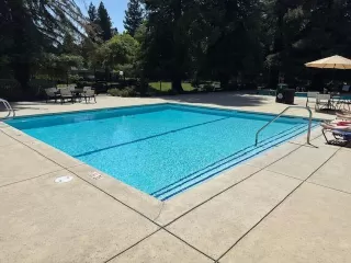 Photo #4: 225059582 Listing