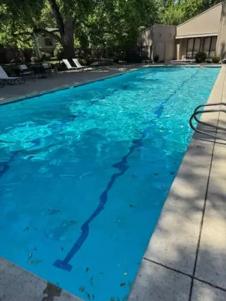 Photo #5: 225059582 Listing