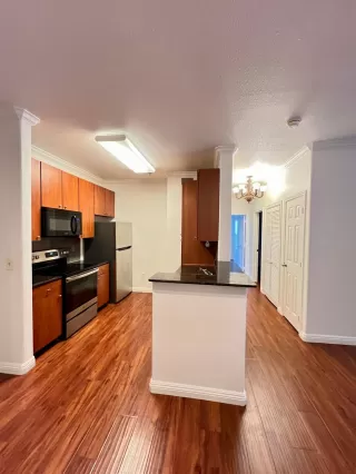 Photo #1: 225059785 Listing