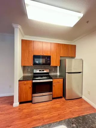 Photo #4: 225059785 Listing