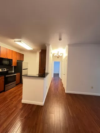 Photo #5: 225059785 Listing