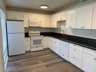 Photo #1: 225059880 Listing