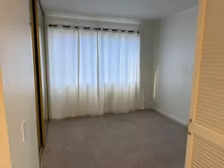 Photo #5: 225059880 Listing