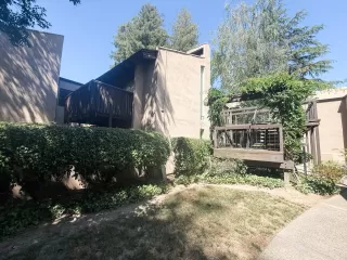 Photo #1: 225061311 Listing 