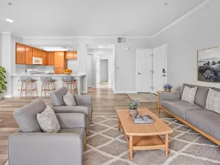 Photo #1: 225061471 Listing 