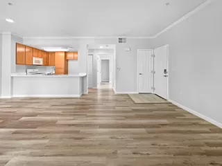 Photo #2: 225061471 Listing 