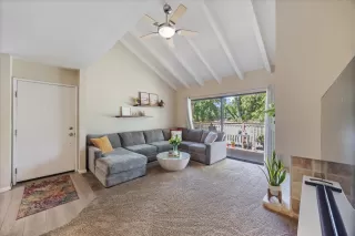 Photo #1: 225062446 Listing