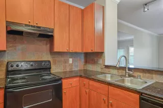 Photo #1: 225063057 Listing 