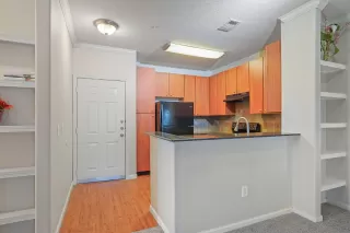 Photo #4: 225063057 Listing 