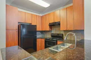 Photo #5: 225063057 Listing 