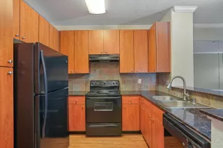 Photo #6: 225063057 Listing 