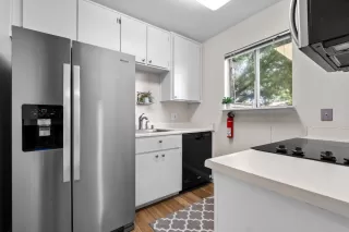 Photo #5: 225063977 Listing 