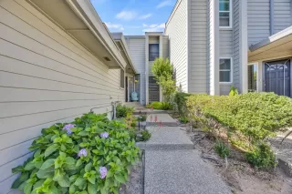 Photo #3: 225064057 Listing 