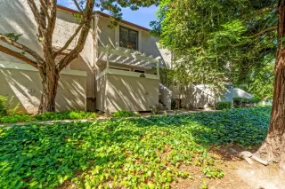 Photo #1: 225065263 Listing 