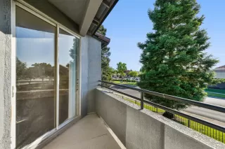 Photo #3: 225065407 Listing