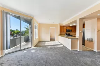 Photo #5: 225065407 Listing