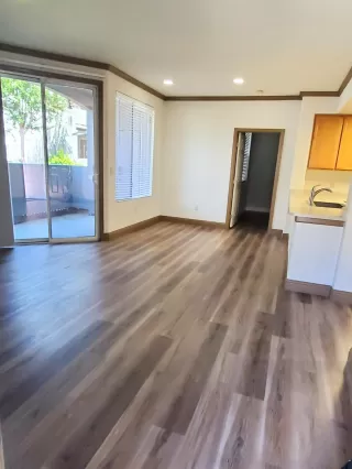 Photo #1: 225066381 Listing 