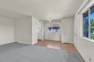 Photo #5: 225066669 Listing 