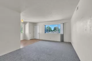 Photo #6: 225066669 Listing 