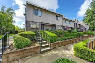 Photo #1: 225066922 Listing 