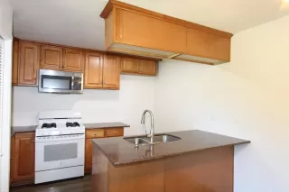 Photo #1: 225067237 Listing