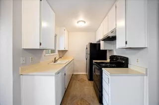 Photo #4: 225067463 Listing